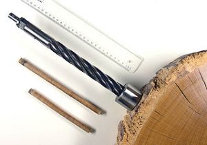 CC image of dendrochronological drill courtesy of Wikimedia Commons