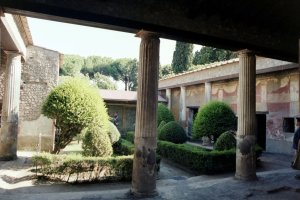 8124447_PompeiiGarden4