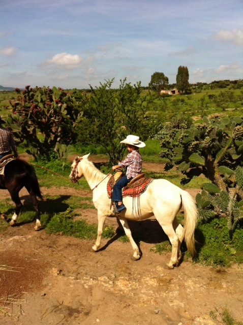 Rancho Xotolar, San Miguel de Allende
