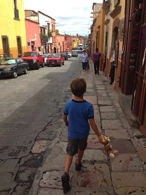 San Miguel de Allende Street