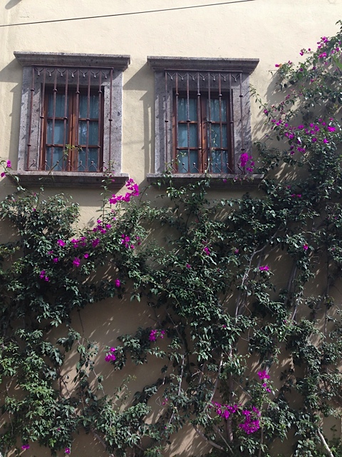 San Miguel de Allende House