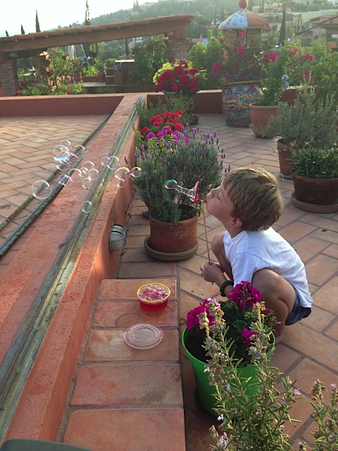San Miguel de Allende Rooftop Terrace