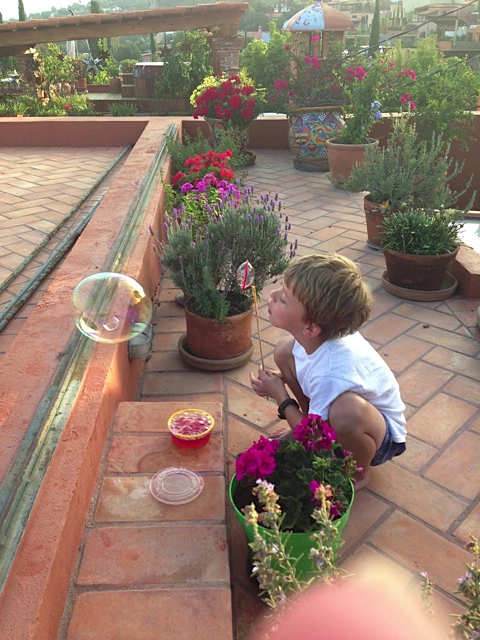 San Miguel de Allende Rooftop Terrace