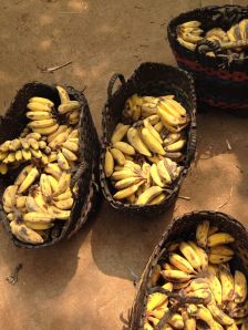 10257266_10203412805818196_3591667961919673372_o