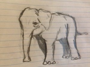 10264063_10203418822768616_5413108586925529593_o