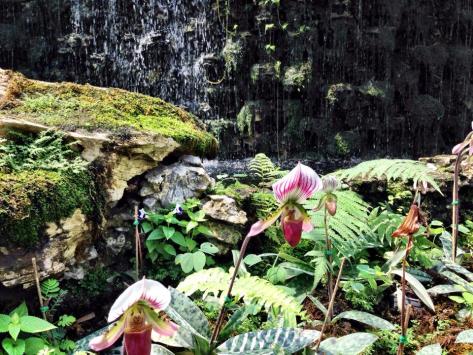 1464682_10203492282645067_8669151253706141117_n