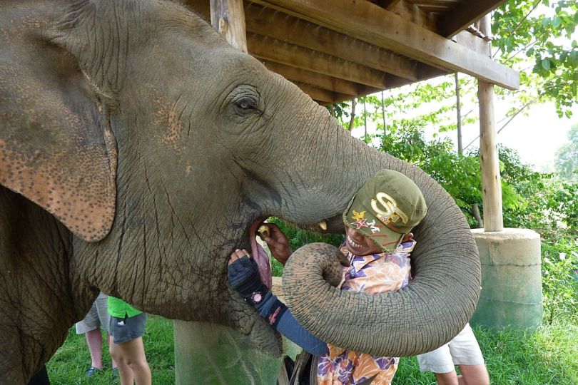 Elephant Hugging Mahout