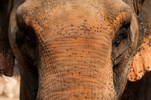 Photo courtesy of http://theplanewriter.com/