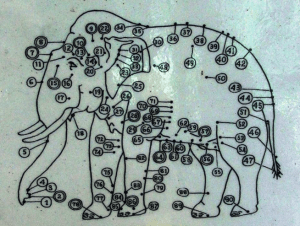 Pressure points used by mahouts