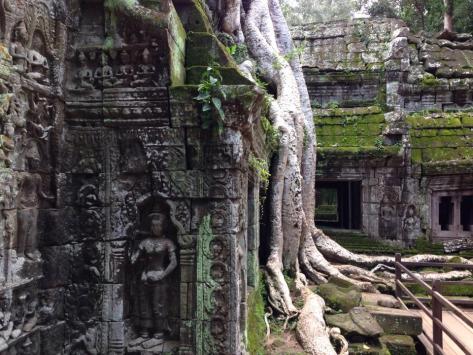 AngkorWat_TaProhm_6