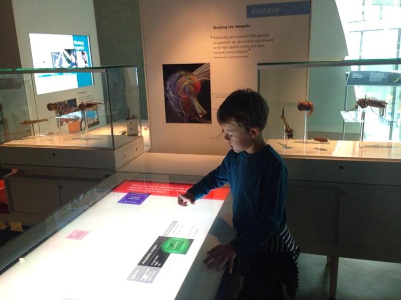 Visiting London Museums