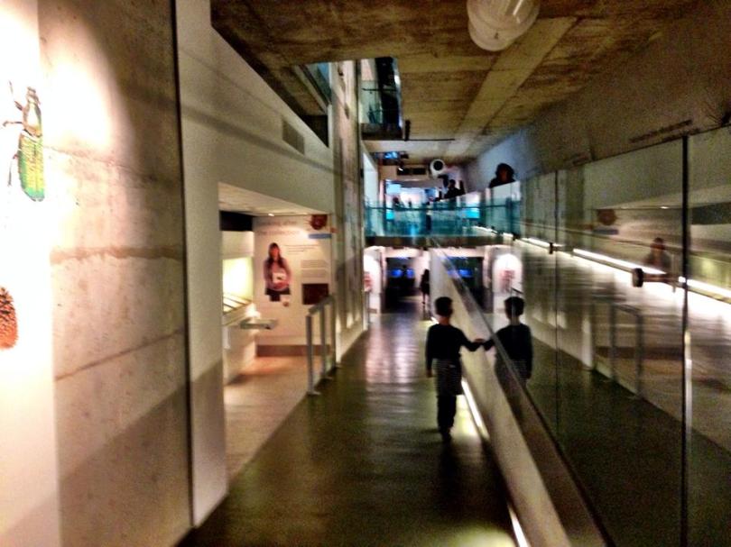 Visiting London Museums