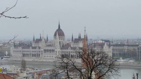 10676180_10152845117228427_2279980440830559692_n