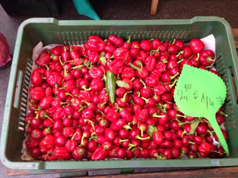 Ljubljana Market