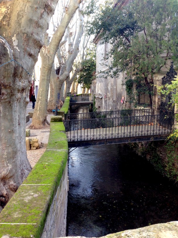 Our Life in Avignon