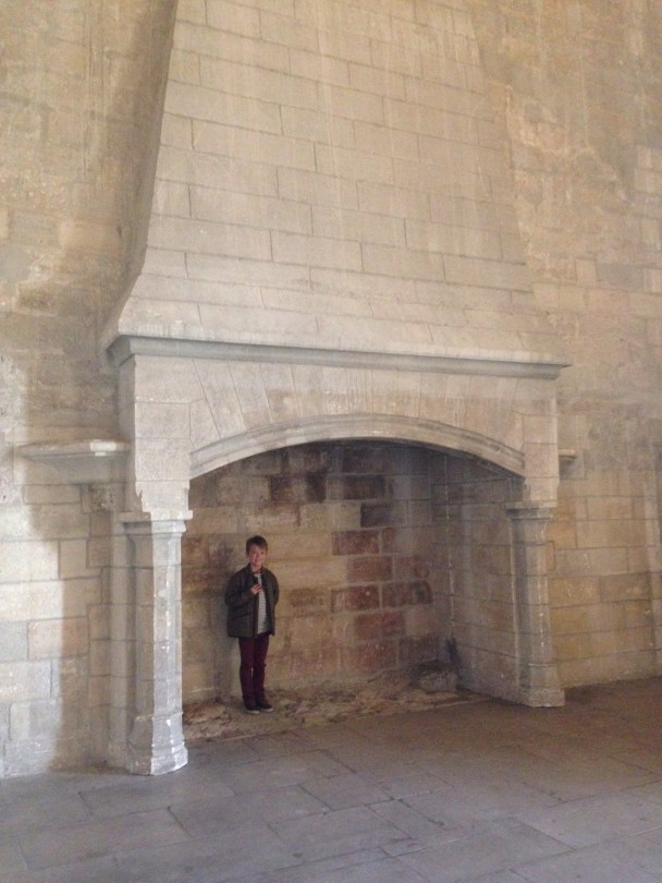 Visiting the Palais des Papes in Avignon