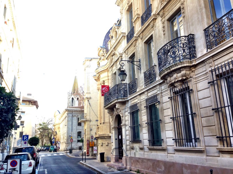 Our Life in Avignon