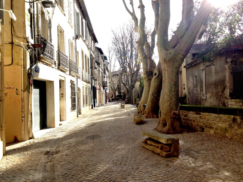 Our Life in Avignon