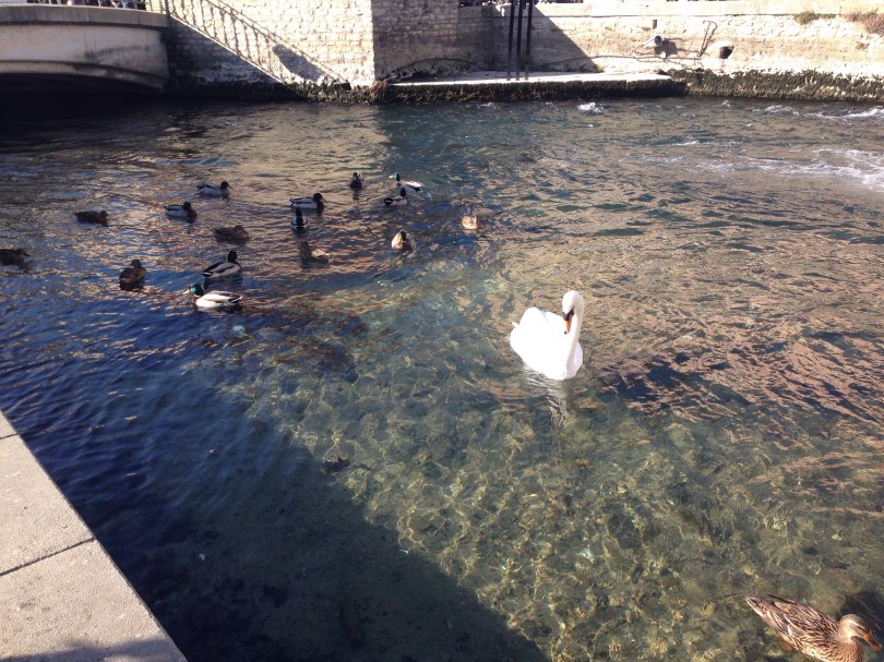 L-Isle-sur-la-Sorgue