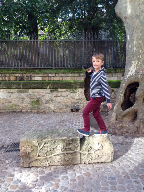 Our Life in Avignon