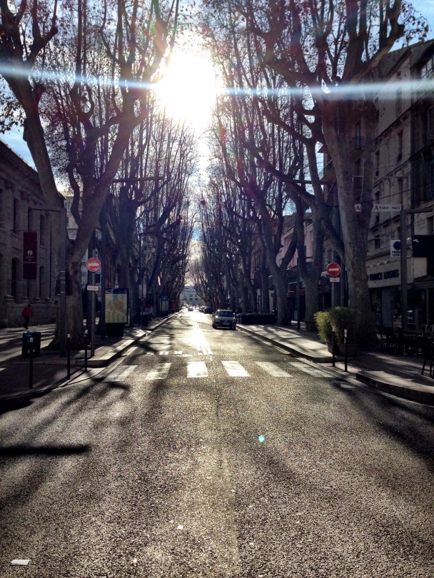 Our Life in Avignon