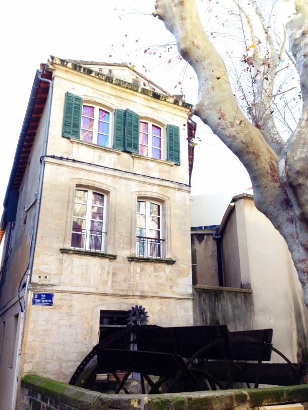 Our Life in Avignon
