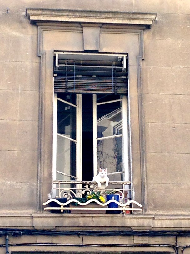 Our Life in Avignon
