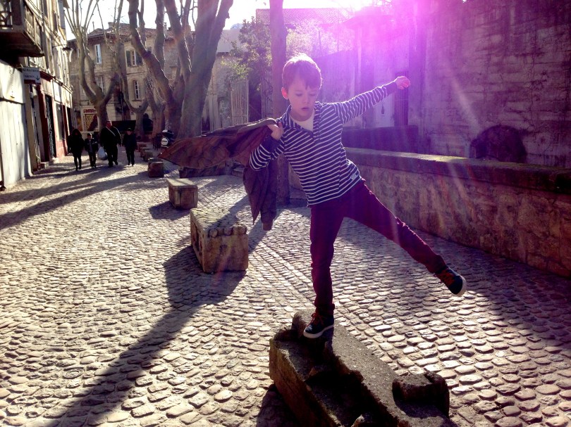 Our Life in Avignon