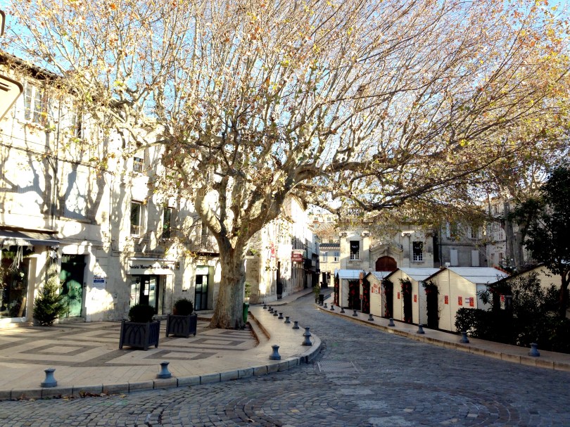 Our Life in Avignon