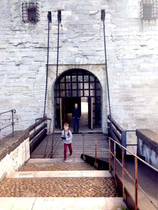 Visiting the Pont d'Avignon