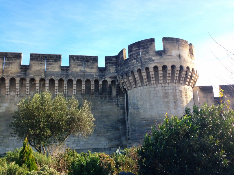 Our Life in Avignon