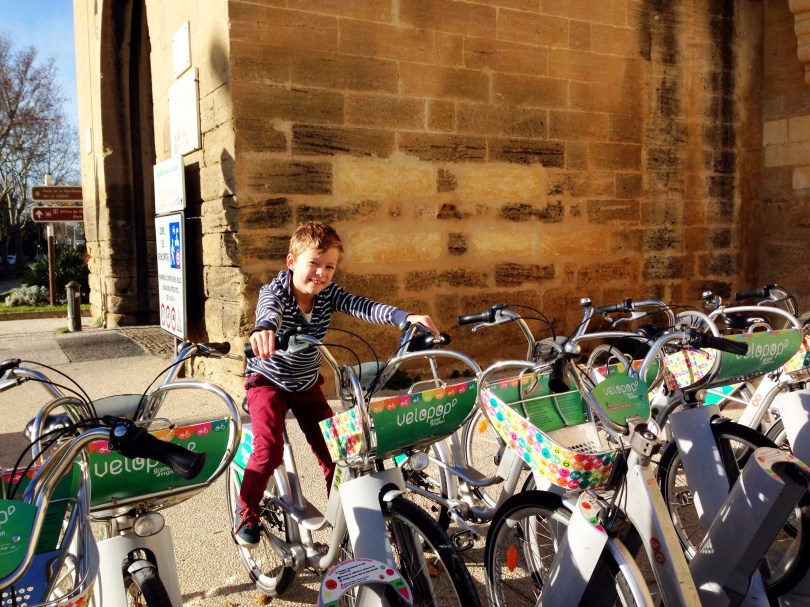Our Life in Avignon