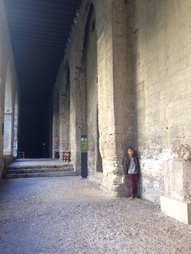 Visiting the Palais des Papes in Avignon