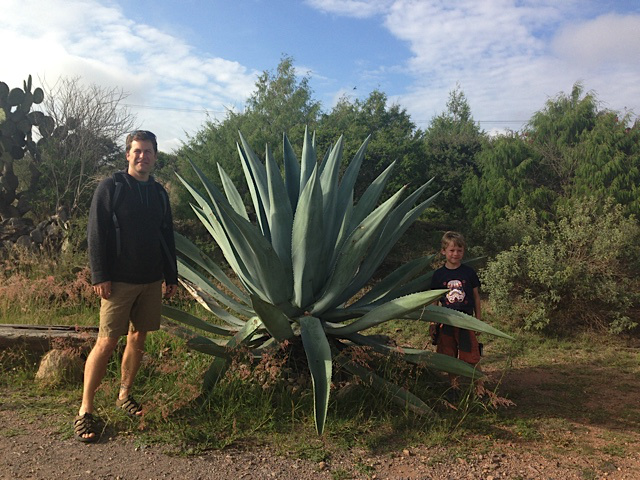 San Miguel de Allende, Mexico